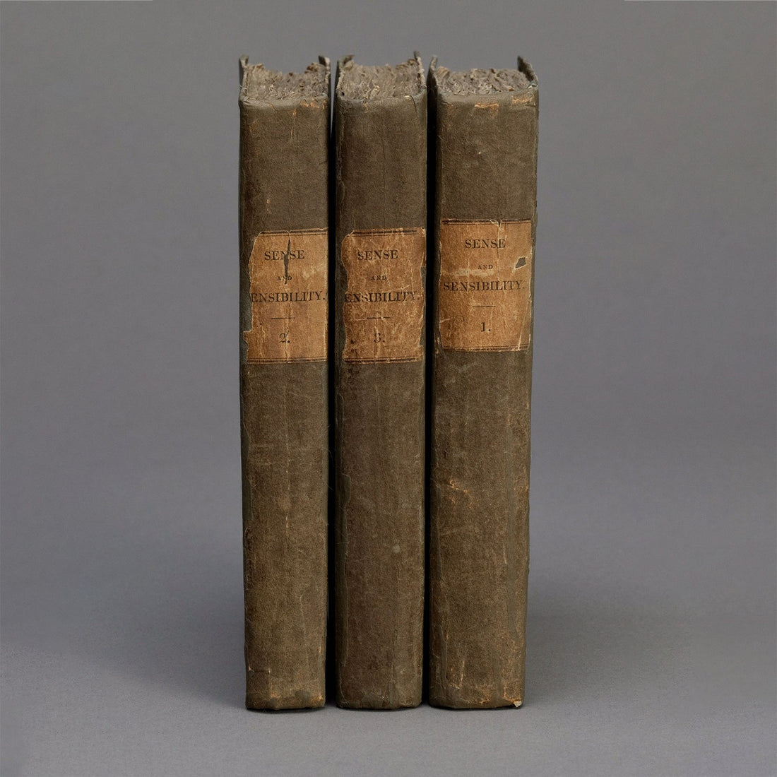 The Women Who Invented the Novel